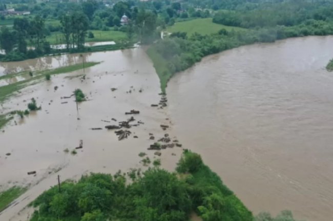 Вырубка лесов является главной причиной наводнений на Западе Украины, - эколог